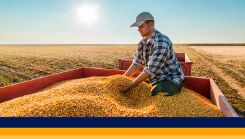 Armazenamento eficiente: o novo foco da rentabilidade no agro