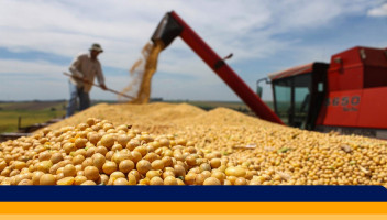 Pós-colheita: o compromisso que sustenta os resultados do agro